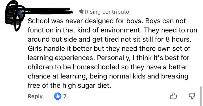 Comment on boys struggling in school environment and homeschooling benefits