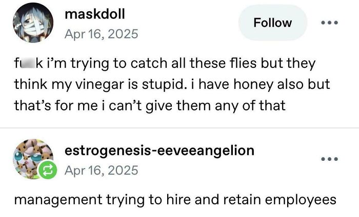 A Tumblr post about wild Tumblr gems; someone trying to catch flies with vinegar and another about hiring and retaining employees.