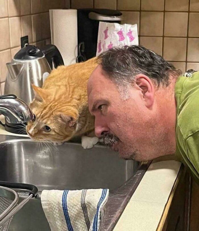 A peculiar thing people spotted in real life: a man and an orange cat looking into a kitchen sink.