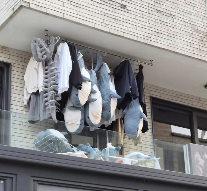 Peculiar things spotted in real life: a balcony railing with clothes and numerous shark plushies drying.