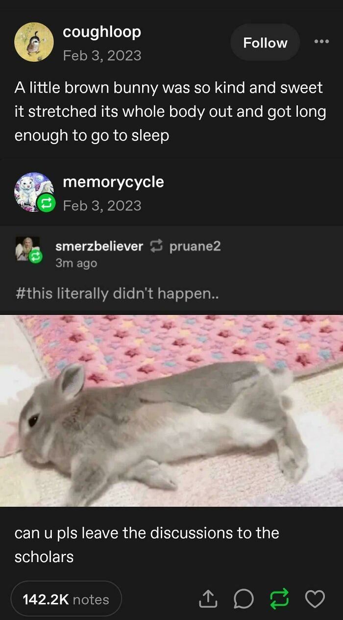 Funny Tumblr post about a cute brown bunny stretching out to sleep, generating internet chaos.