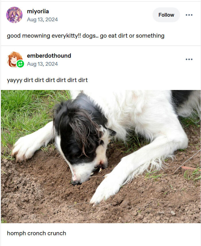 A Tumblr post showing a dog enthusiastically eating dirt, highlighting internet chaos with the caption 'homph cronch crunch'.