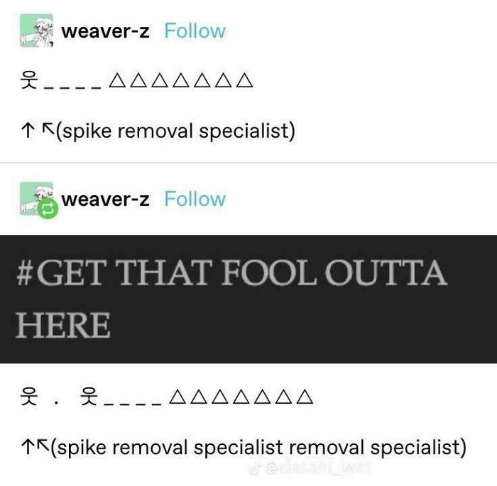 Two Tumblr posts by weaver-z with chaotic text and hashtags, demonstrating internet chaos.