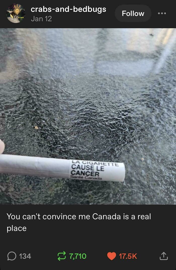 Tumblr Posts showing a cigarette with a French warning, sparking internet chaos.