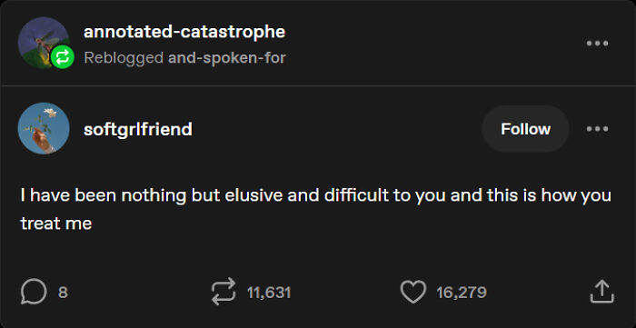 A Tumblr post by softgrlfriend with the text, I have been nothing but elusive and difficult to you and this is how you treat me, showing internet chaos.