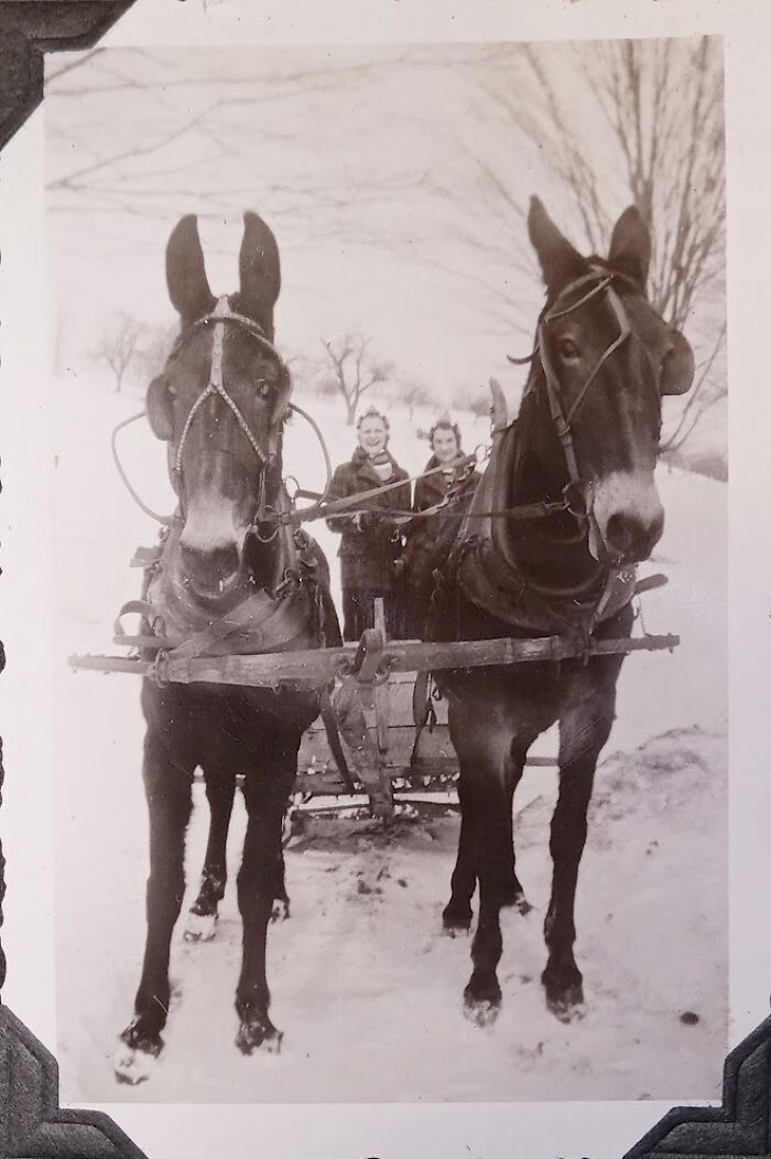 Candid old photos: Two people in a horse-drawn sleigh on a snowy day, a glimpse into generations ago.