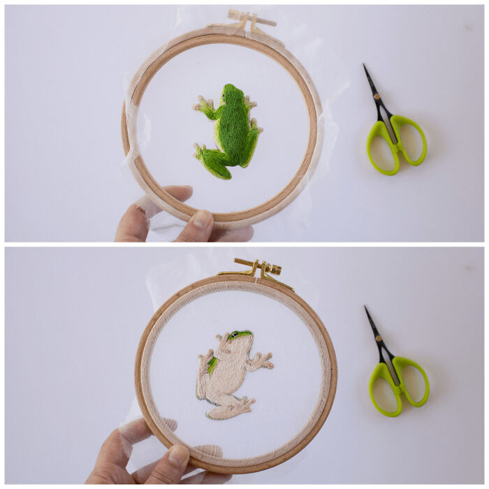 Two images show a green frog embroidery creation, then a brown frog embroidery creation, inspiring embroidery hobby.