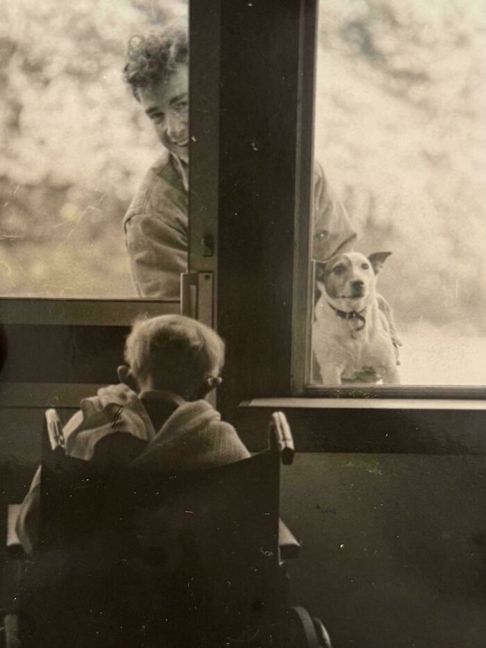 Candid old photos: A child in a wheelchair looking at an adult and a dog through a window, old photos from generations ago.