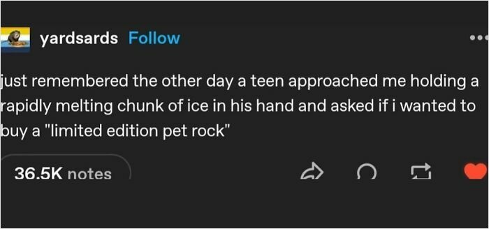 Tumblr post text about a teen selling a rapidly melting chunk of ice as a limited edition pet rock in unhinged and wild posts.