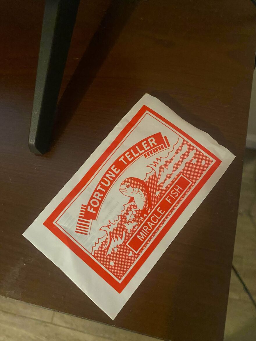 Fortune teller miracle fish paper on wooden surface, a weird and unexplainable novelty item people experienced.