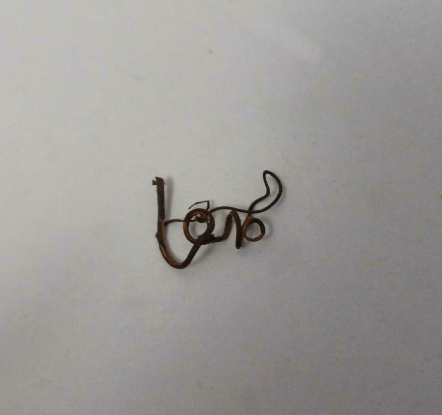 Rusty wire shaped like the word love on a plain surface, an example of weird and unexplainable things experienced.