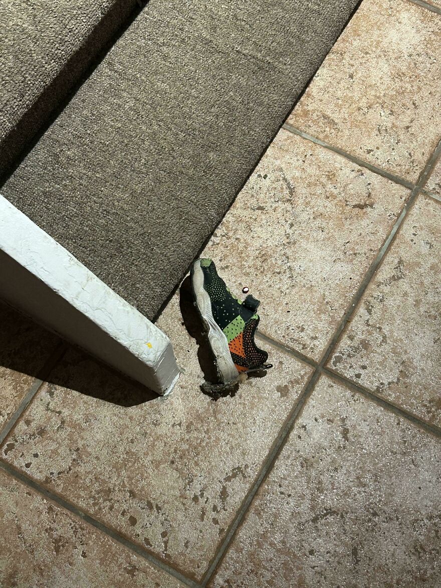Small sneaker appearing halfway melted on tiled floor near carpeted stairs, showing weird and unexplainable sight.