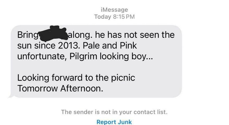 Text message describing a pale, pilgrim-looking boy who has not seen the sun since 2013, a weird unexplainable experience.