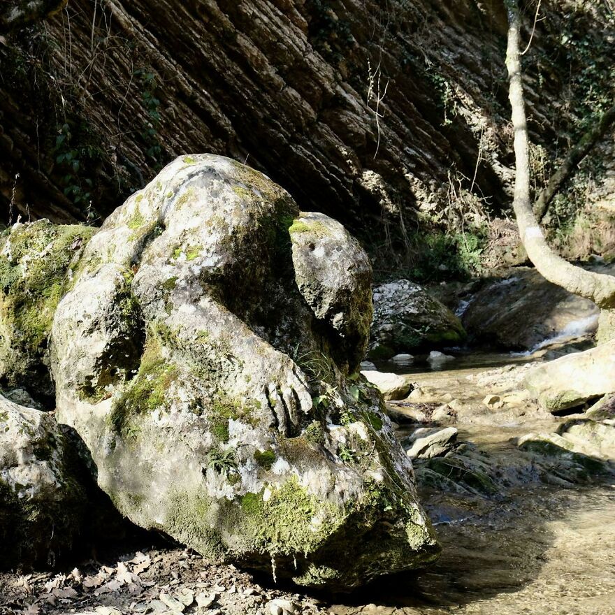 Moss-covered rock formation shaped like a crouching figure in a natural outdoor setting, weird and unexplainable sight.