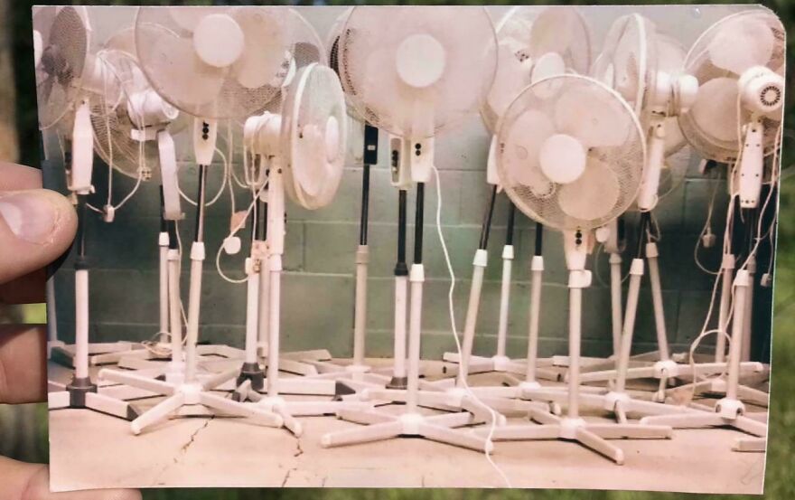 A photo of many standing fans grouped closely together, illustrating weird and unexplainable things people experienced.