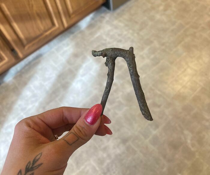 Person holding a small cool stick with textured bark indoors against a kitchen floor background.