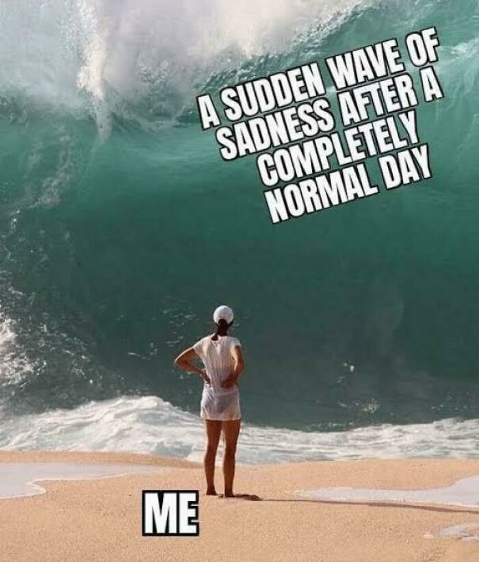 Person standing on beach facing huge wave labeled sudden sadness, relatable meme about funny and relatable memes.