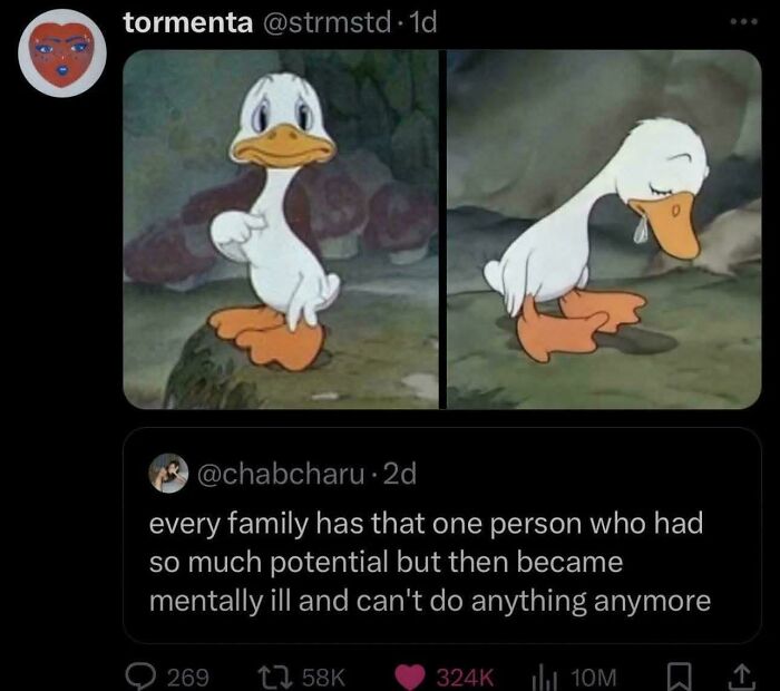 Sad cartoon duck meme alongside a relatable tweet about family and mental illness in funny and relatable memes.
