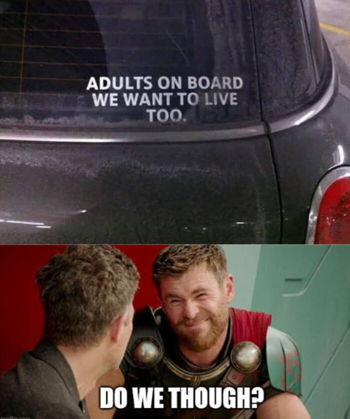 Car window decal meme about adults wanting to live paired with Thor character meme, funny and relatable memes.