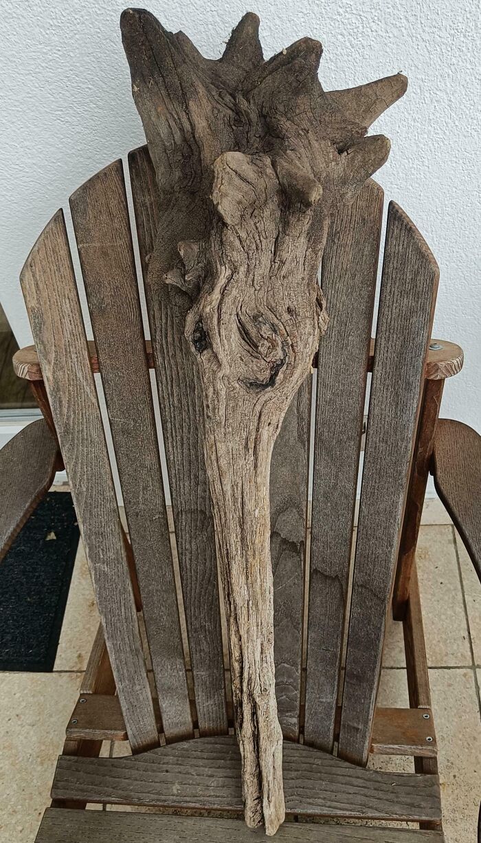 A cool stick with unique natural textures and shapes resting on a wooden chair outdoors.