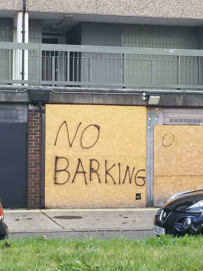 Mild vandalism showing "NO BARKING" spray-painted on boarded-up windows of a building in an urban area.