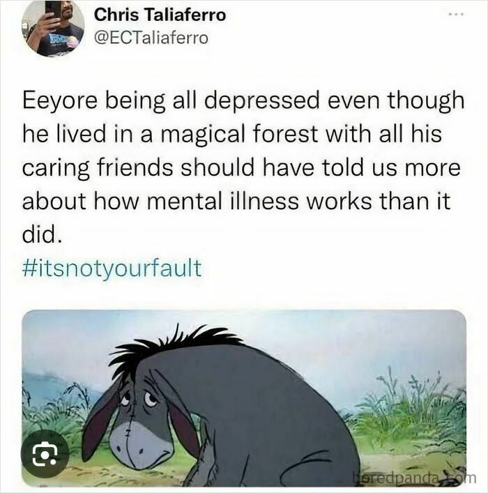 Eeyore from Winnie the Pooh depicting mental illness and relatable memes about dealing with emotions and problems.
