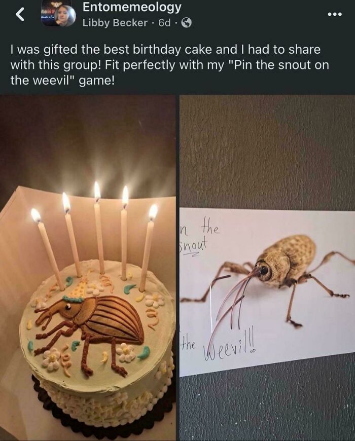 I Think Entomologists Are The Happiest Academics In Any Field