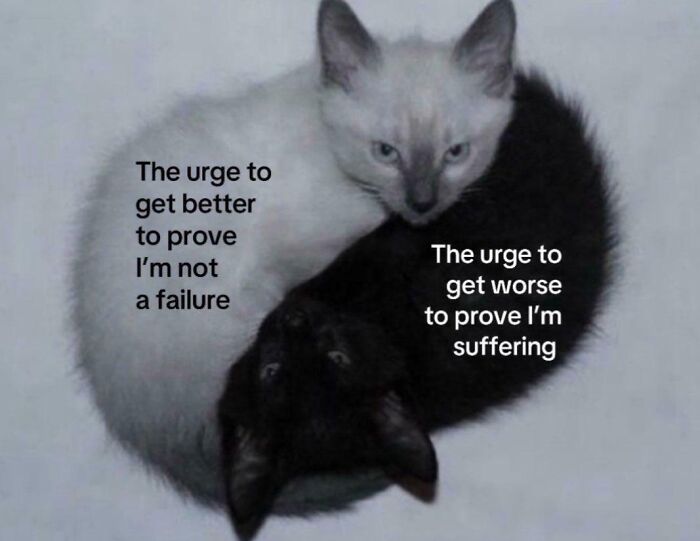 Yin-yang cats illustrating the urge to get better or worse, featured in funny and relatable memes about dealing with problems.