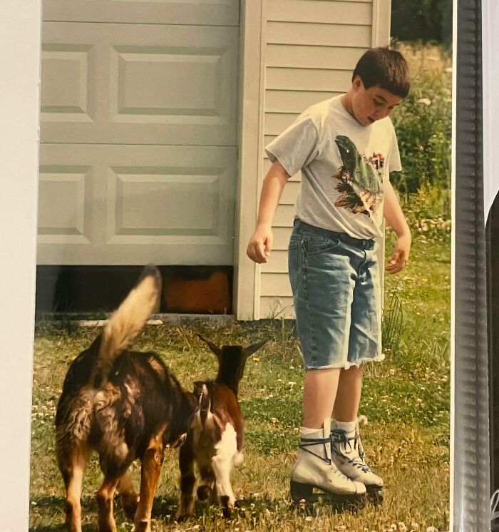 Boy on roller skates with two goats in a backyard, a hilariously awkward childhood pic people might wish to delete.