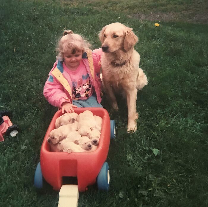 Young child with golden retriever and several puppies in a red wagon outdoors, capturing a hilariously awkward childhood moment.