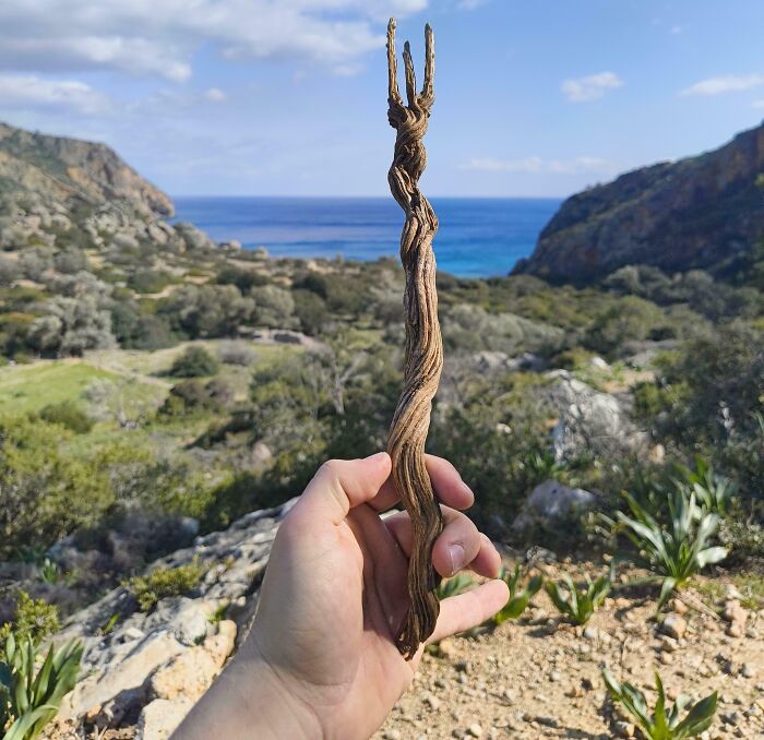 Hand holding a cool stick with twisted texture in a scenic outdoor landscape near the sea and green hills.