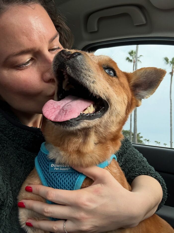 After Surviving Cruelty, This Dog Found Safety, Love, And A Reunion No One Expected