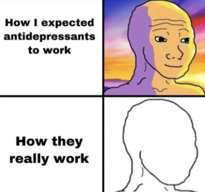 Meme comparing expectations versus reality of antidepressants, featured in funny and relatable memes about dealing with problems.