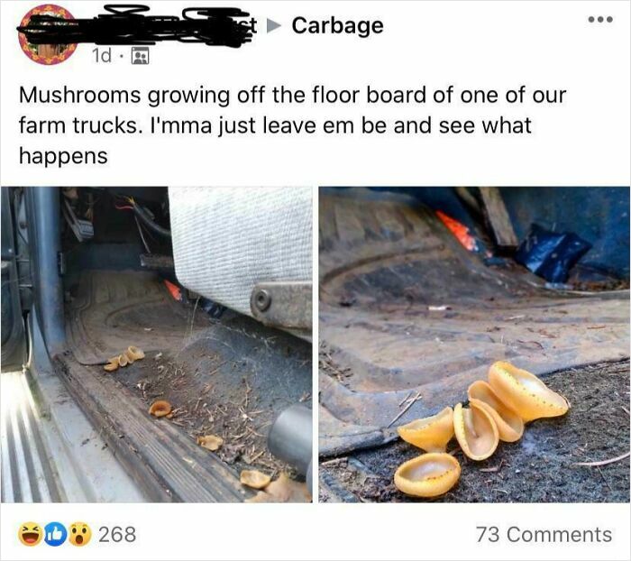 A Funny Find I Found On This Fun Facebook Group