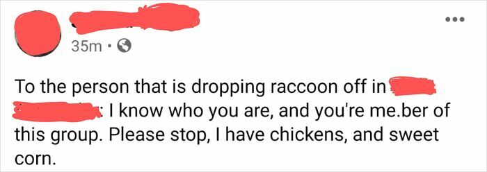 I Stay In My Rural Hometown Facebook Group For The Drama