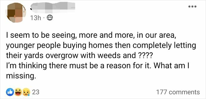 Post In The Neighborhood Facebook Group, But Most Of The Comments Were Explaining/In Support Of Not Having Plain Ol' Grass