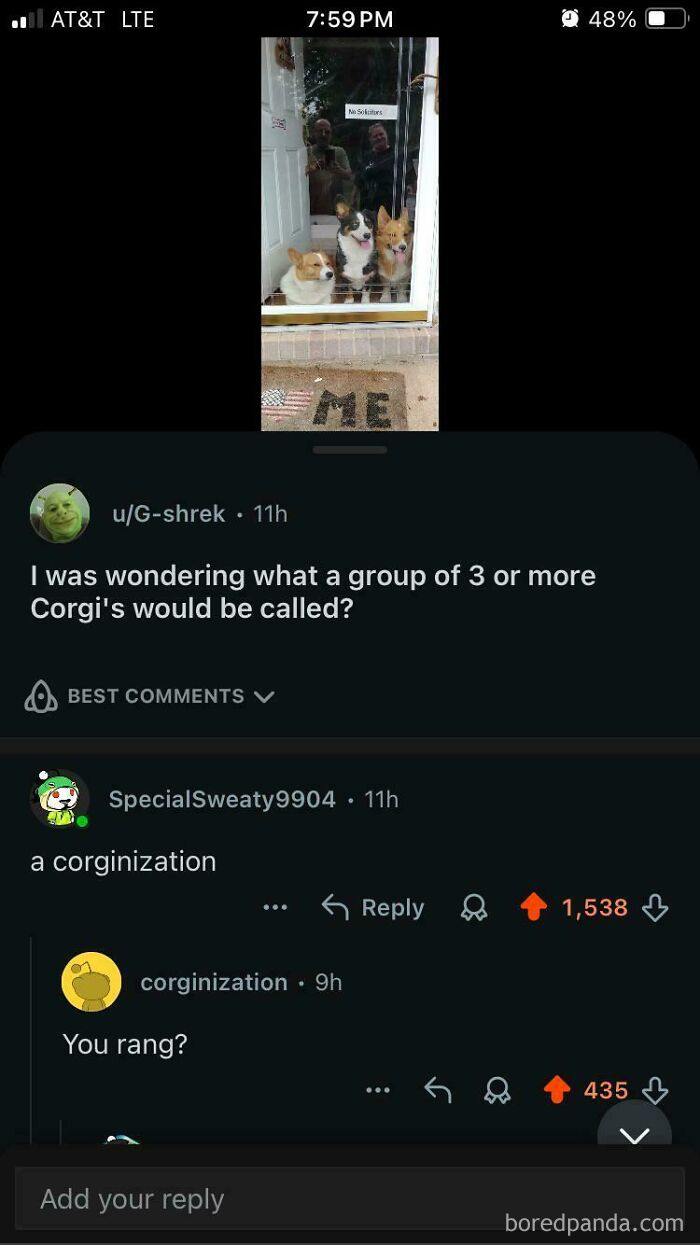 Three Corgis behind a door mat labeled Me with a Reddit conversation about a perfect username corginization.