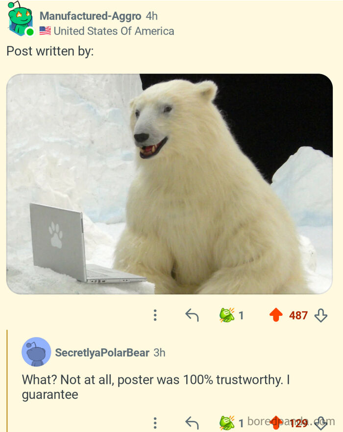 Polar bear using laptop in snowy setting, featured in a post about perfect usernames popping up in online conversations.