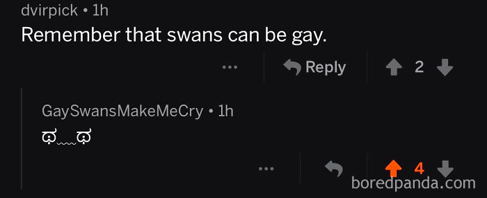 Online conversation showing a person with the perfect username responding humorously about swans.