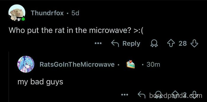 Online conversation screenshot featuring a perfect username RatsGoInTheMicrowave replying humorously to a comment.