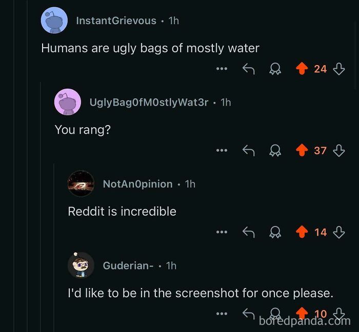 Reddit conversation featuring a person with the perfect username cleverly responding to a comment about humans.