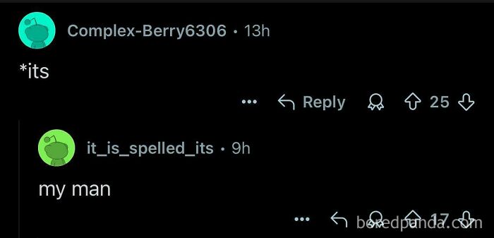 Online conversation with a person having the perfect username correcting a grammar mistake playfully in a forum thread.