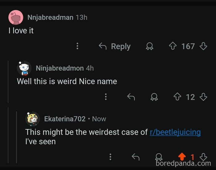 Online conversation showing a perfect username moment with users commenting on its uniqueness and humor.