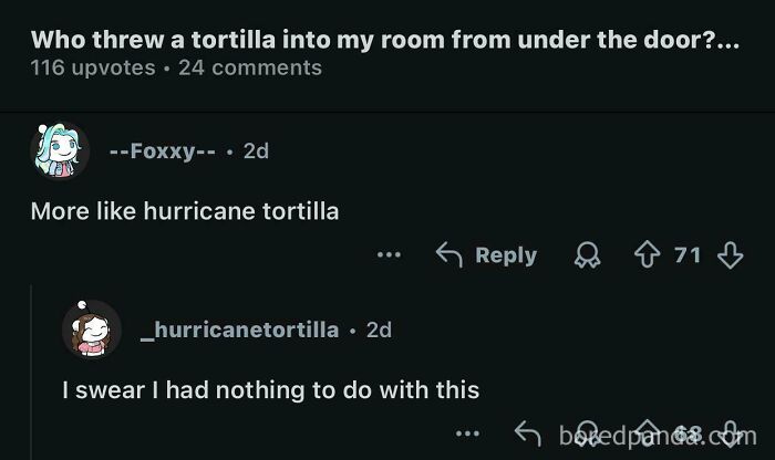 Online conversation screenshot showing a person with the perfect username _hurricanetortilla replying humorously to a comment.