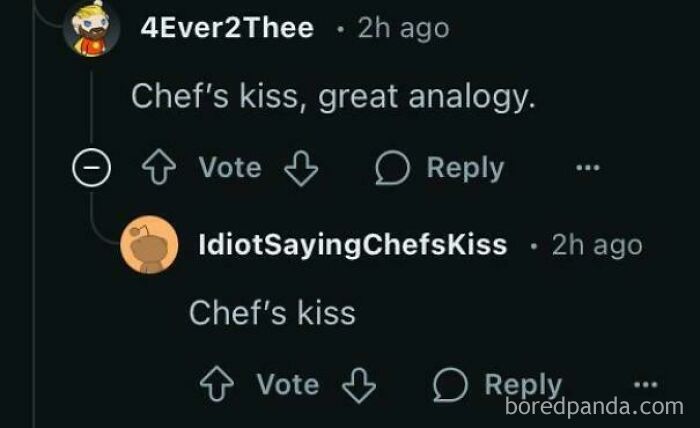 Chat screenshot showing a perfect username IdiotSayingChefsKiss responding with "Chef’s kiss" in an online conversation.
