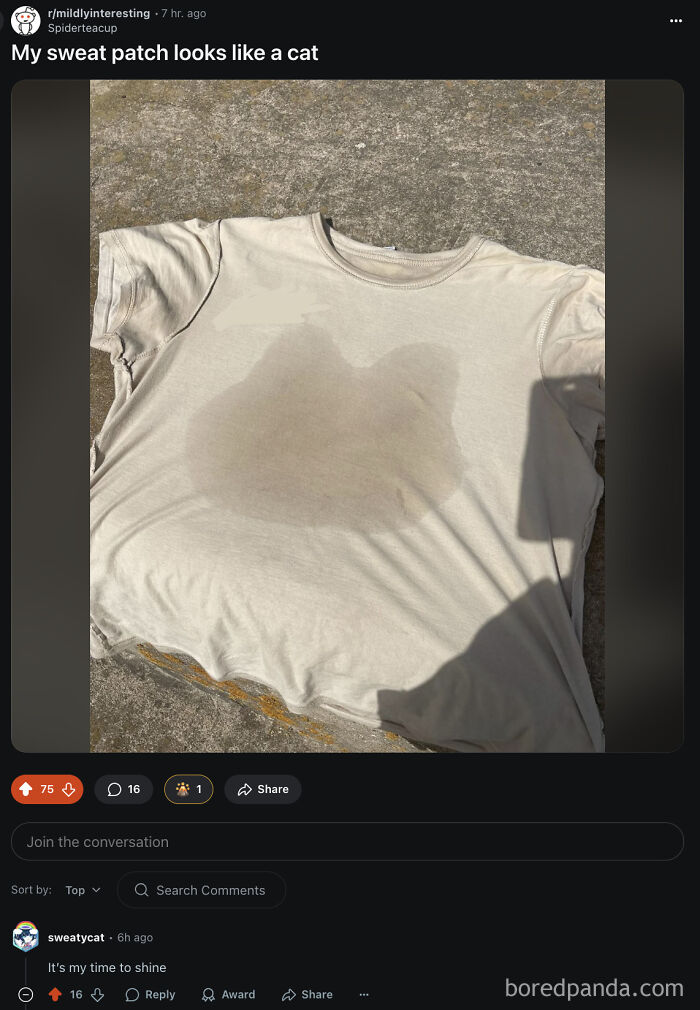 Sweat patch on beige shirt resembling a cat shape, showcasing a perfect username moment in online conversations.