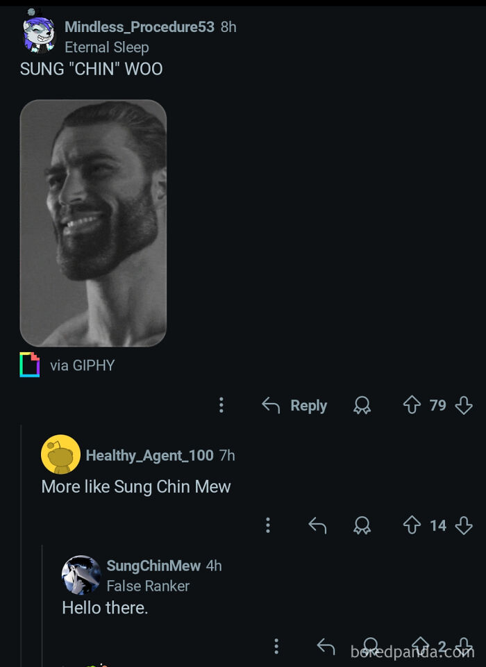 Online conversation screenshot showing a person with the perfect username SungChinMew unexpectedly joining the chat.