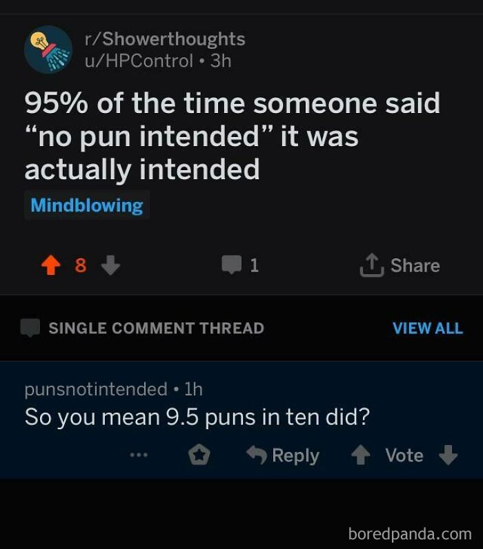 Reddit conversation showing a user with the perfect username punsnotintended replying to a pun-related post.