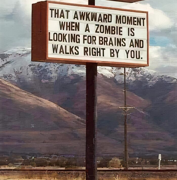 Humorous roadside sign about a zombie looking for brains, creating a funny and unexpected moment in the desert.