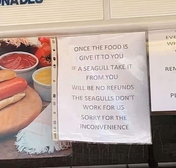 Funny sign warning about no refunds if seagulls steal food, featured in signs that made people laugh or do a double take